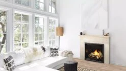 6K Series Traditional 6K Gas Fireplace -HearthHome 15A HNG 6KX BL BIR AdobeStock 394133053 2A ad10cbb3 2cb0 4bd6 b710 89bf5bfa8439