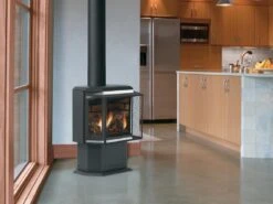 Epic - Direct-Vent Freestanding Gas Stove- EPIC-IPI