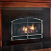 Mendota D30 Gas Fireplace Insert -HearthHome R f002fc01 d740 4ca3 b40f 0e84a1932bb7
