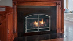 Mendota D30 Gas Fireplace Insert