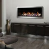 Serene 47" Zero Clearance Direct Vent Gas Fireplace - Unit -HearthHome RockyMountainStove 2025 2019.08.17 68857.1566077051