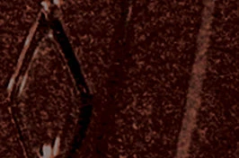 Serefina - Direct-Vent Freestanding Gas Stove- Majolica Brown- CI1504DVF 4 Serefina - Direct-Vent Freestanding Gas Stove- Majolica Brown- CI1504DVF - Image 2