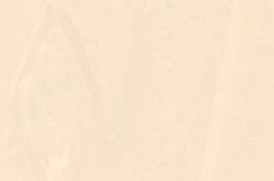 Serefina - Direct-Vent Freestanding Gas Stove- Ivory White- CI1508DVF-2 -HearthHome StoveEnamel Finish White 266x176 1