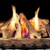 Campfire Gas Log Sets -HearthHome campfire