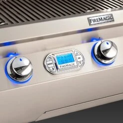 E660s Portable Grills With Digital Thermometer & Flush Mounted Single Side Burner (-62) -HearthHome echelon feat l 02 20