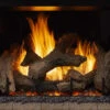 Phoenix TrueView Indoor Gas Fireplace -HearthHome img pdp phoenix trueview jpg