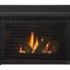 Provident Indoor Gas Fireplace Insert -HearthHome img pdp provident jpg