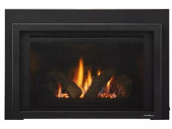 Provident Indoor Gas Fireplace Insert